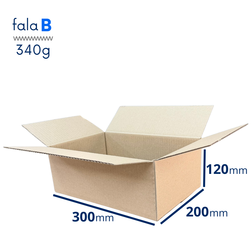 Karton 300x200x120 Fala B 340g.png