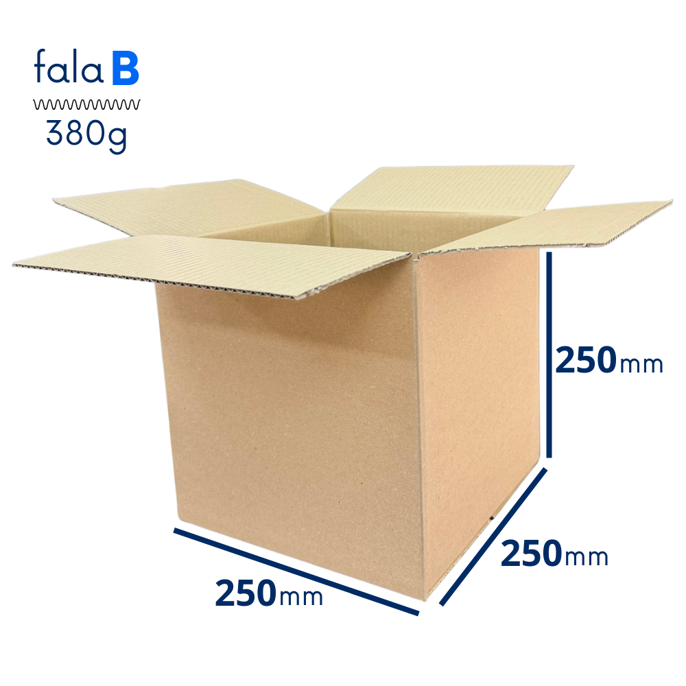Karton 250x250x250 Fala B 380g.png